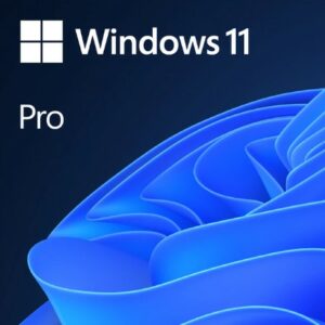 Microsoft Windows 11 Pro 64 bits, Descarga Digital, 1 PC