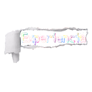 Experiencia